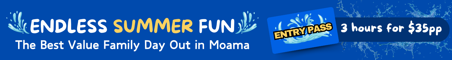 Moama Water Park Entry